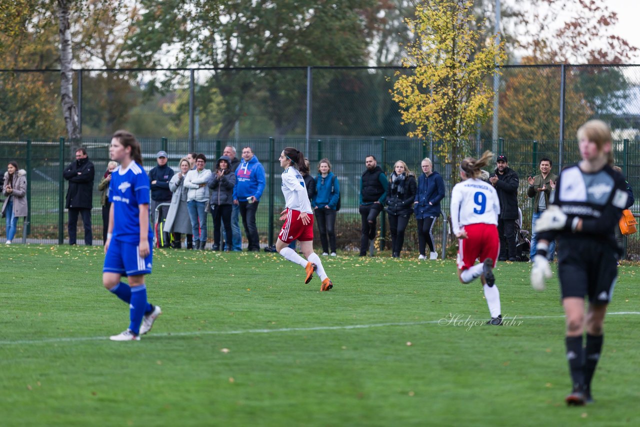 Bild 286 - B-Juniorinnen Hamburger SV - FC Neubrandenburg 04 : Ergebnis: 3:1